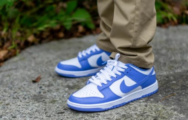 Nike Dunk Low Polar Blue-image.jpg <a href="https://castle-shop.com/product-tag/nike-dunk-low/" class="st_tag internal_tag " rel="tag" title="Posts tagged with Nike Dunk Low">Nike Dunk Low</a> Polar Blue-image1.jpg